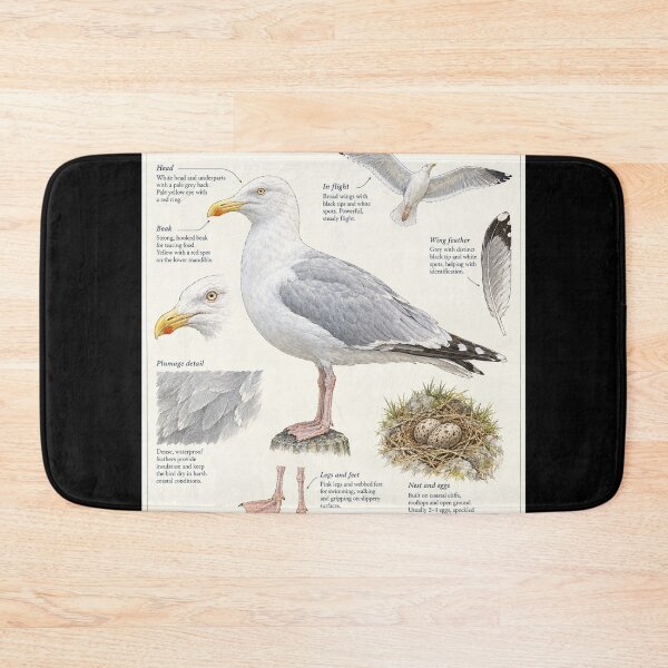 Item preview, Seagull Herring Gull Botanical Poster designed and sold by KALEIDOSCOPE UK.