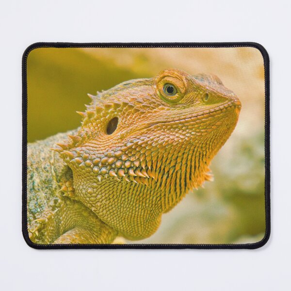 Item preview, CHAMELEON designed and sold by MarieClaude1954.