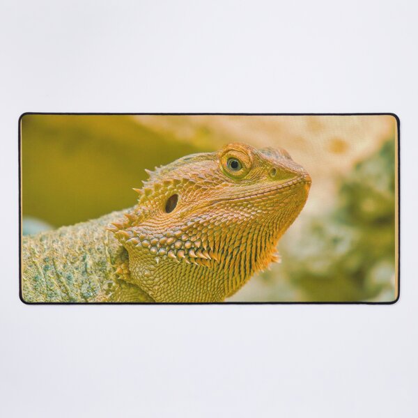 Item preview, CHAMELEON designed and sold by MarieClaude1954.