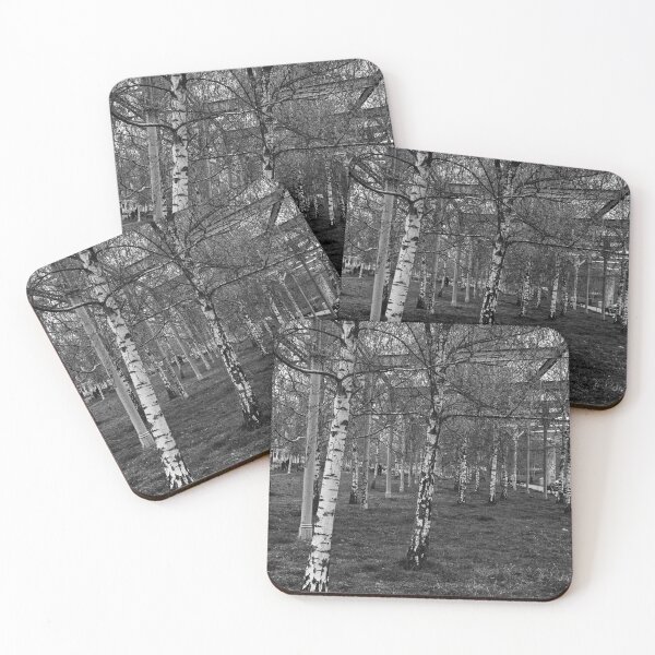 Item preview, Silver Birch Uprights designed and sold by Eidetic Photos.