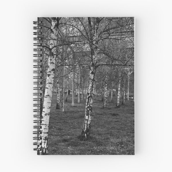 Item preview, Silver Birch Uprights designed and sold by Eidetic Photos.
