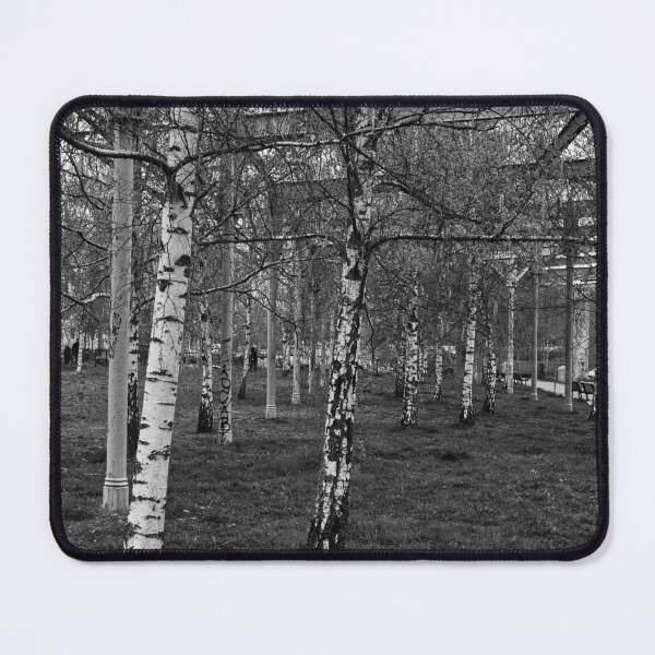 Item preview, Silver Birch Uprights designed and sold by Eidetic Photos.