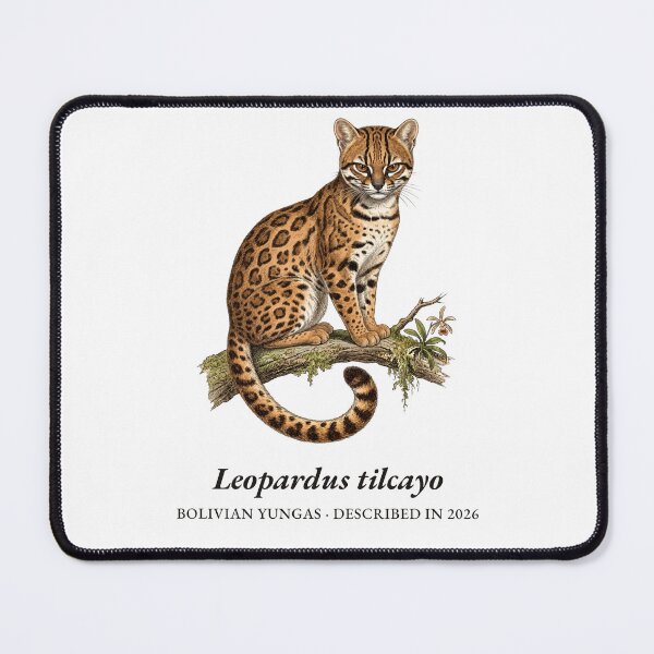Item preview, Leopardus Tilcayo - Bolivian Wildcat Zoological Plate designed and sold by DeepRootStudio.