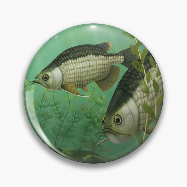 Artikelvorschau, Phareodus (Green River Formation) entworfen und verkauft von JAMiron Paleoart.
