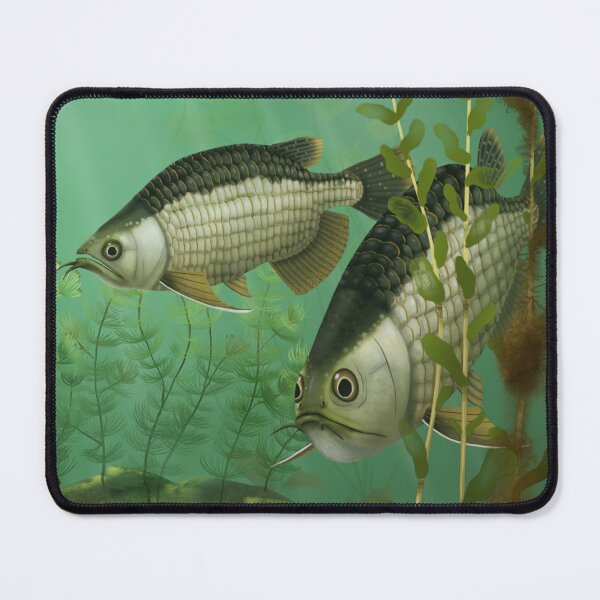 Item preview, Phareodus (Green River Formation) designed and sold by JAMiron Paleoart.
