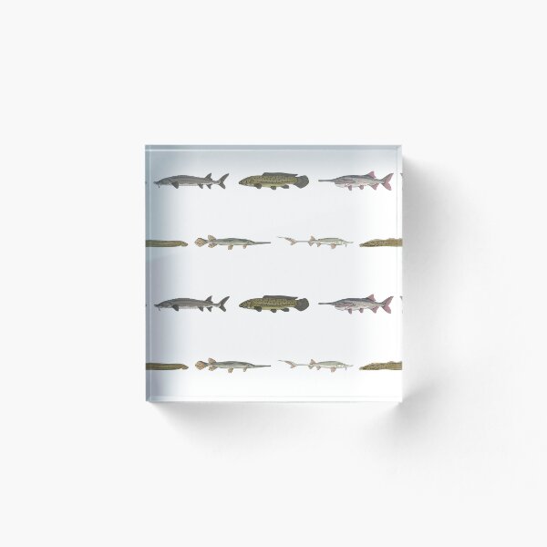 Aperçu de l'œuvre Motif de poissons anciens (fond blanc) créée et vendue par Marathon-Rana.