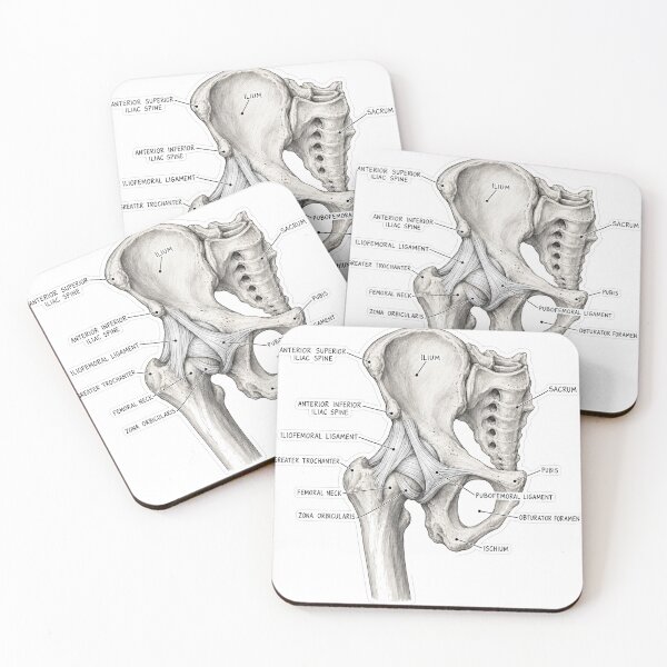 Item preview, Pegatina de anatomía de los ligamentos de la cadera para fisioterapia designed and sold by isokinetic.