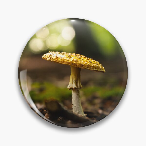 Item preview, Yellow fly agaric in the enchanting autumn forest – nature photography designed and sold by Tammigrafie.