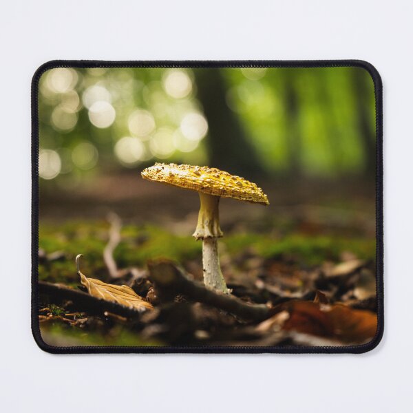Item preview, Yellow fly agaric in the enchanting autumn forest – nature photography designed and sold by Tammigrafie.