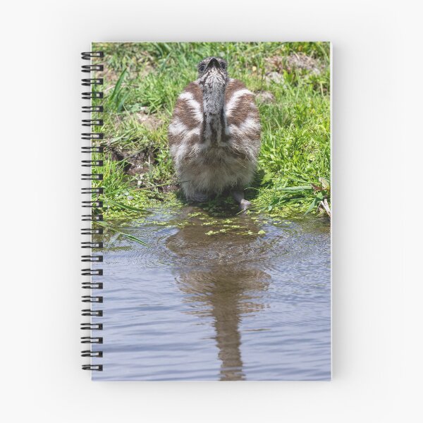 Item preview, Grabbing a Drink designed and sold by DawsonImages.