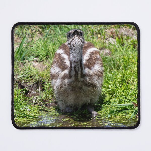 Item preview, Grabbing a Drink designed and sold by DawsonImages.