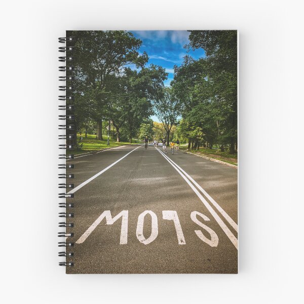 Item preview, Slow Down, Central Park, Manhattan, New York City  designed and sold by eleonoraingrid.