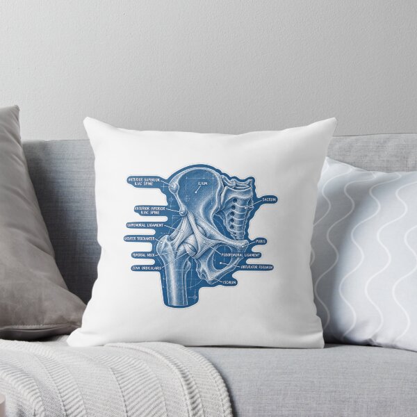 Item preview, Anatomy Hip Ligaments Blueprint Physical Therapy Sticker designed and sold by isokinetic.