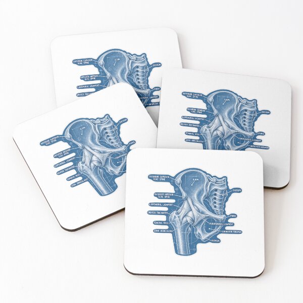 Item preview, Plano de anatomía de los ligamentos de la cadera - Pegatina de fisioterapia designed and sold by isokinetic.