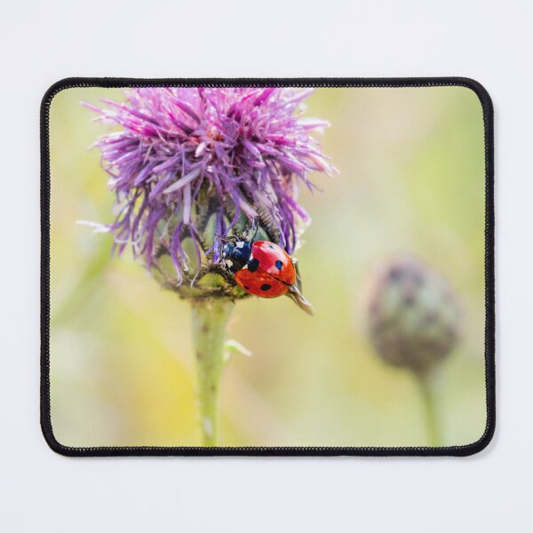 Item preview, Ladybug on a Purple Thistle designed and sold by little_macro_love.