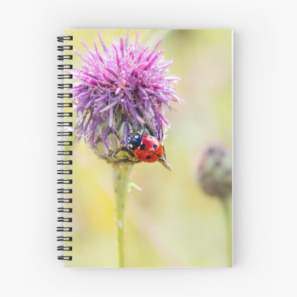 Item preview, Ladybug on a Purple Thistle designed and sold by little_macro_love.