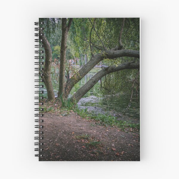 Item preview, Weeping Willow by the Pond, Parcul Tineretului designed and sold by Rabee Khalil Photography.
