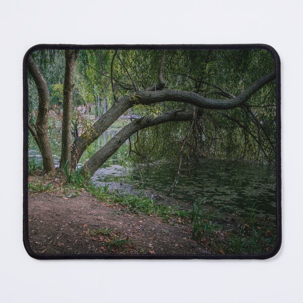 Item preview, Weeping Willow by the Pond, Parcul Tineretului designed and sold by Rabee Khalil Photography.