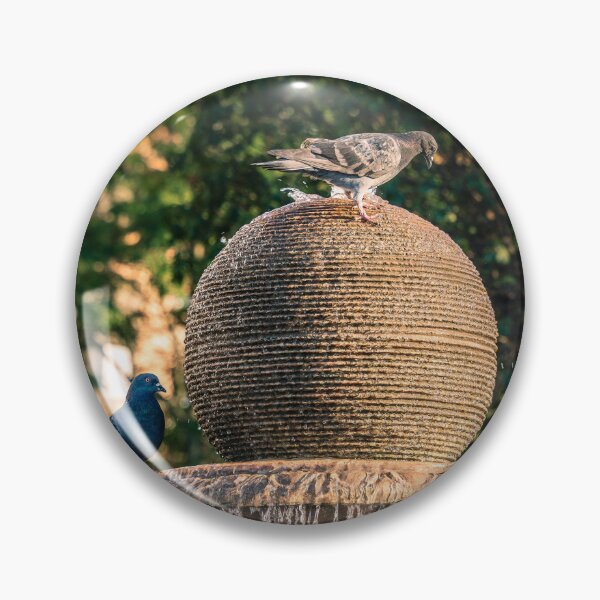 Item preview, Pigeons on the Fountain designed and sold by Rabee Khalil Photography.