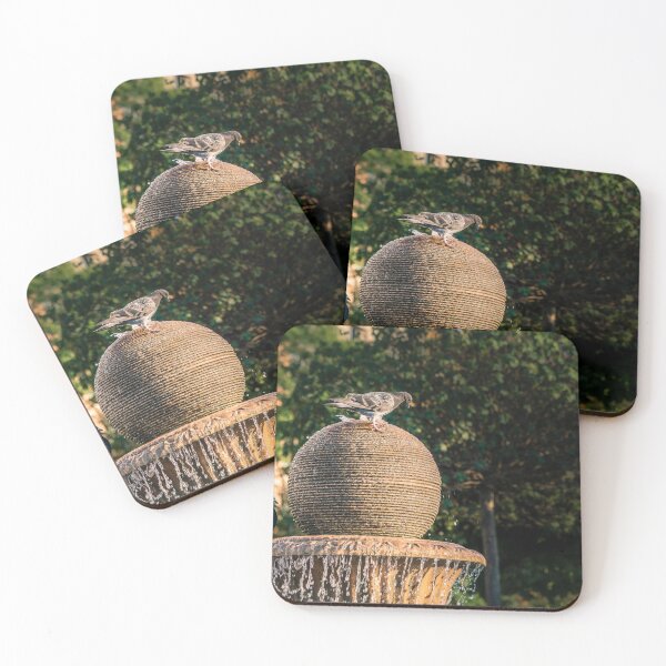 Item preview, Pigeons on the Fountain designed and sold by Rabee Khalil Photography.
