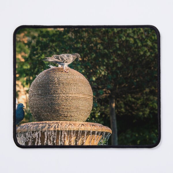 Item preview, Pigeons on the Fountain designed and sold by Rabee Khalil Photography.