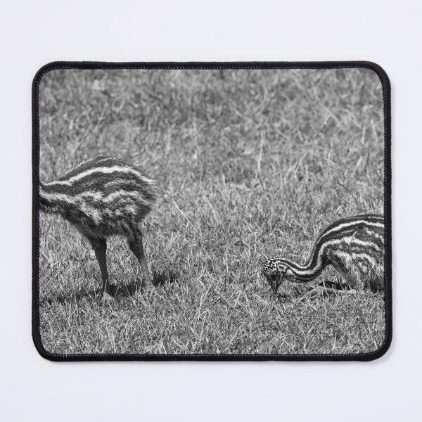 Item preview, Racing Stripes designed and sold by DawsonImages.