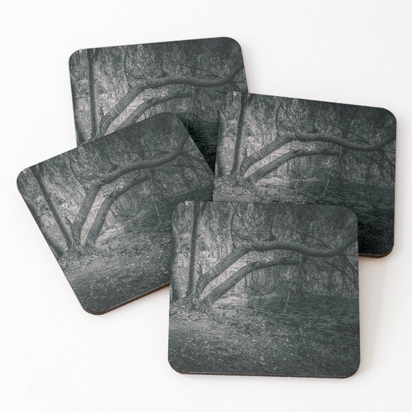 Item preview, Willow by the Pond, Parcul Tineretului, Black and White designed and sold by Rabee Khalil Photography.