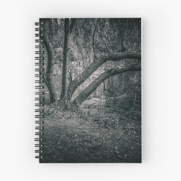 Item preview, Willow by the Pond, Parcul Tineretului, Black and White designed and sold by Rabee Khalil Photography.