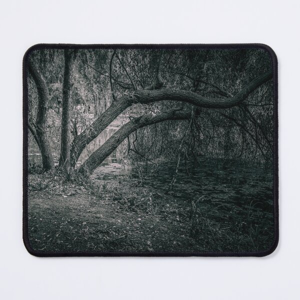 Item preview, Willow by the Pond, Parcul Tineretului, Black and White designed and sold by Rabee Khalil Photography.
