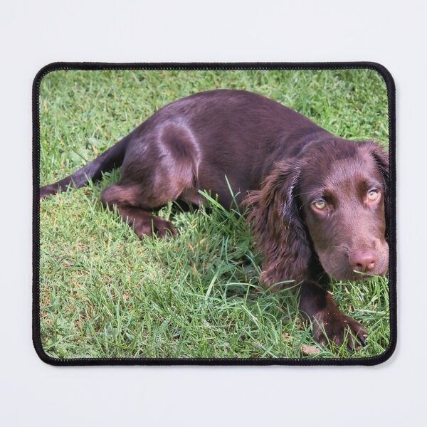 Item preview, Playful Puppy on Grass designed and sold by JEZ22.