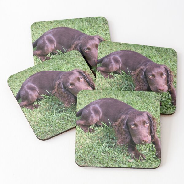 Item preview, Playful Puppy on Grass designed and sold by JEZ22.