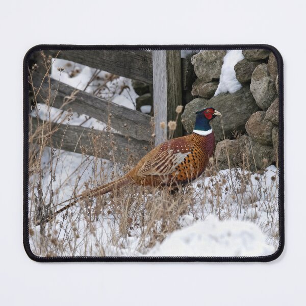 Item preview, Pheasant in Winter Snow designed and sold by Maria Dryfhout.