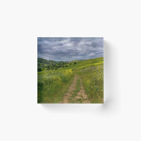 Item preview, Golden Corral Trail designed and sold by DawsonImages.
