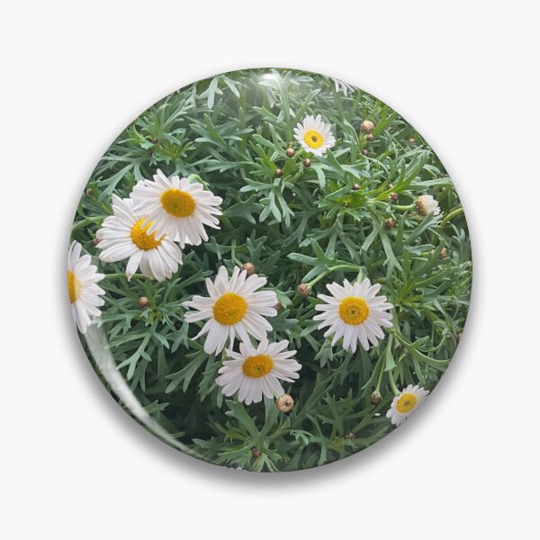 Item preview, some paris daisies  designed and sold by journalleaf.
