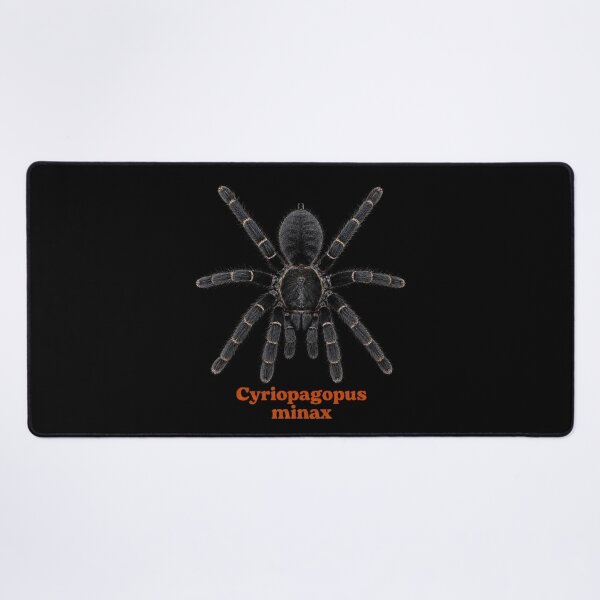 Item preview, Cyriopagopus minax SP-027 designed and sold by Exotic-Atlas.