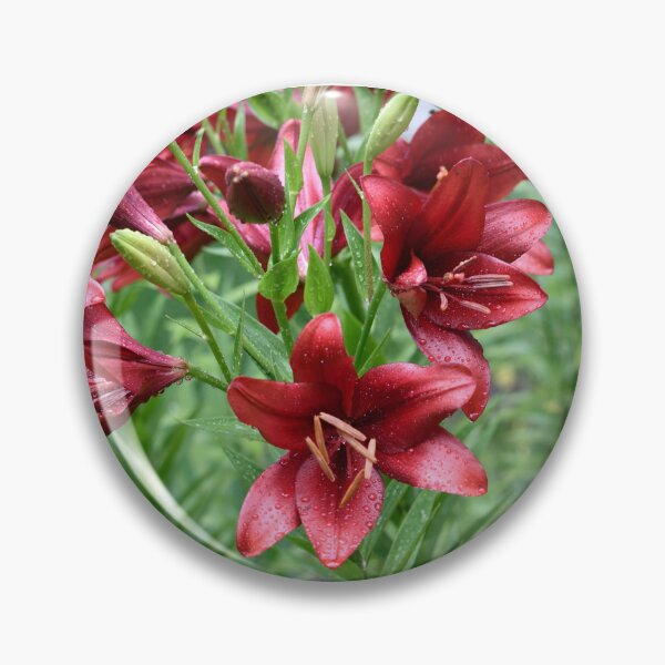 Item preview, Rain touched Deep Red Lilies. designed and sold by Tom Wurl.