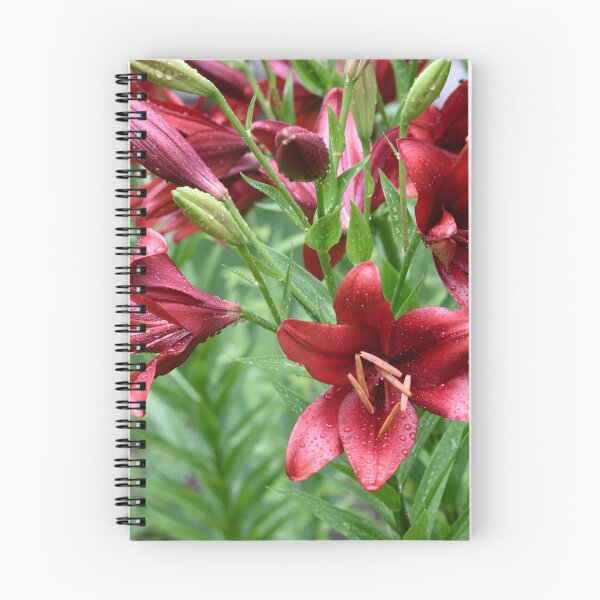 Item preview, Rain touched Deep Red Lilies. designed and sold by Tom Wurl.