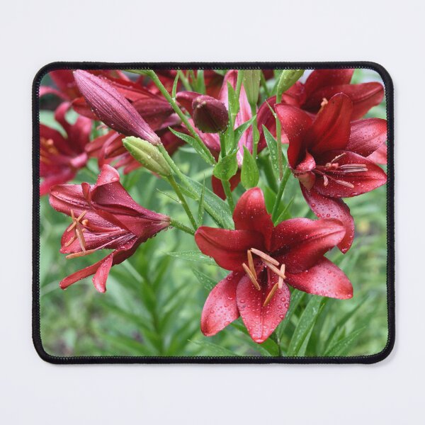 Item preview, Rain touched Deep Red Lilies. designed and sold by Tom Wurl.