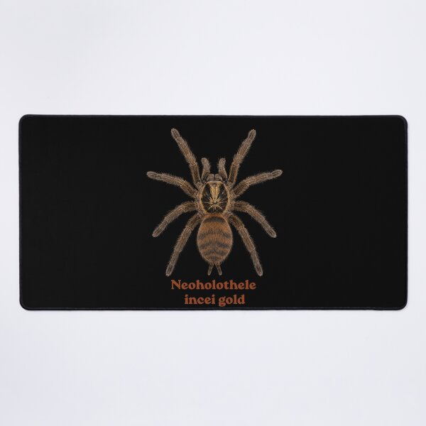 Item preview, Neoholothele incei gold SP-029 designed and sold by Exotic-Atlas.