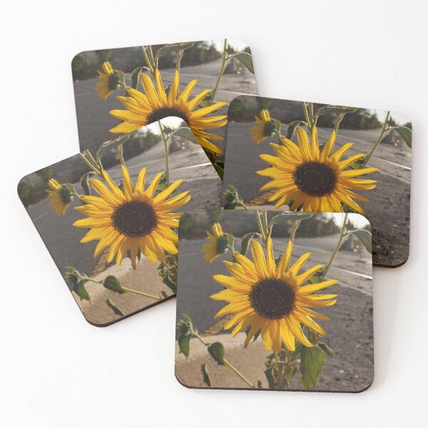 Item preview, Goldenhour Sunflower in the Middle of a Highway designed and sold by concretebotany.