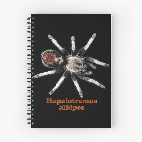 Item preview, Hapalotremus albipes SP-030 designed and sold by Exotic-Atlas.