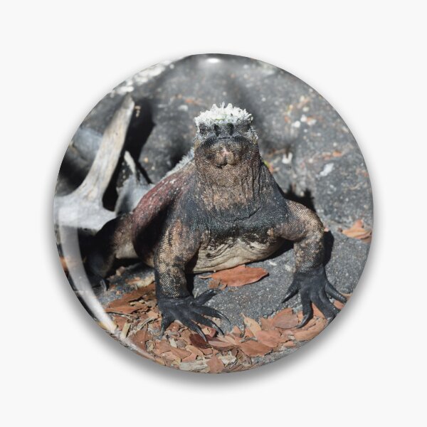Item preview, Marine Iguana in the Galapagos. designed and sold by Tom Wurl.