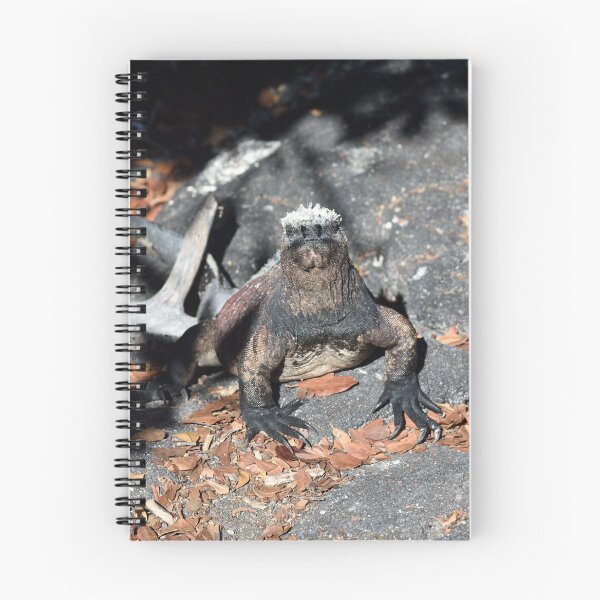 Item preview, Marine Iguana in the Galapagos. designed and sold by Tom Wurl.