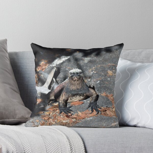 Item preview, Marine Iguana in the Galapagos. designed and sold by Tom Wurl.