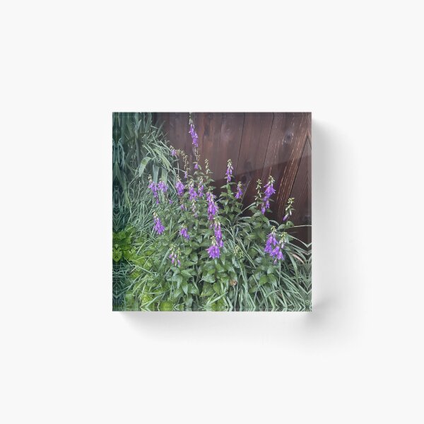 Item preview, Overcast flower garden designed and sold by Hodgepodge House.