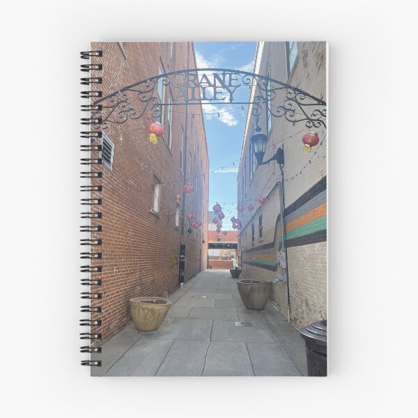 Item preview, Champaign Urbana alley designed and sold by Hodgepodge House.