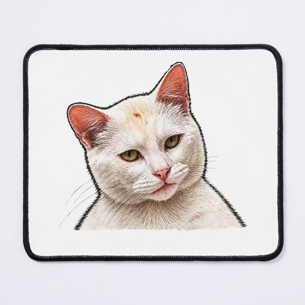 Item preview, Funny White cat meme | White street cat designed and sold by TeeARTHY.
