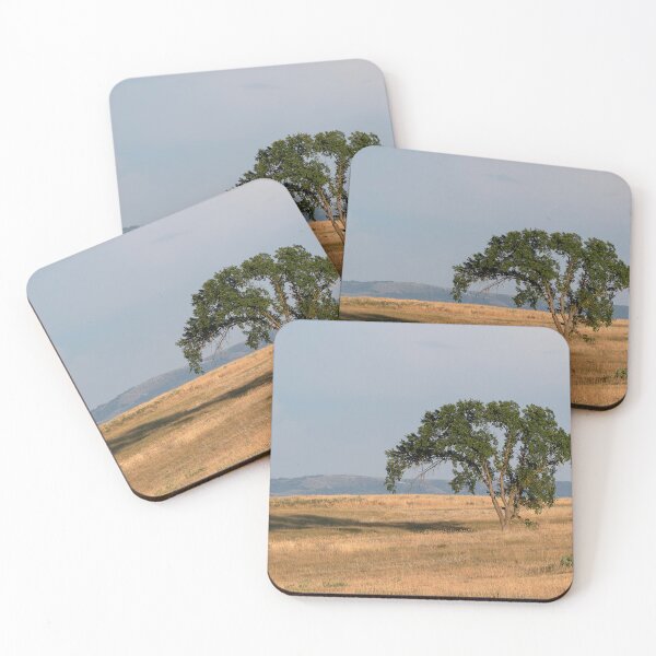 Item preview, Graceful tree on prairie in warm late-day light designed and sold by lisavonbiela.