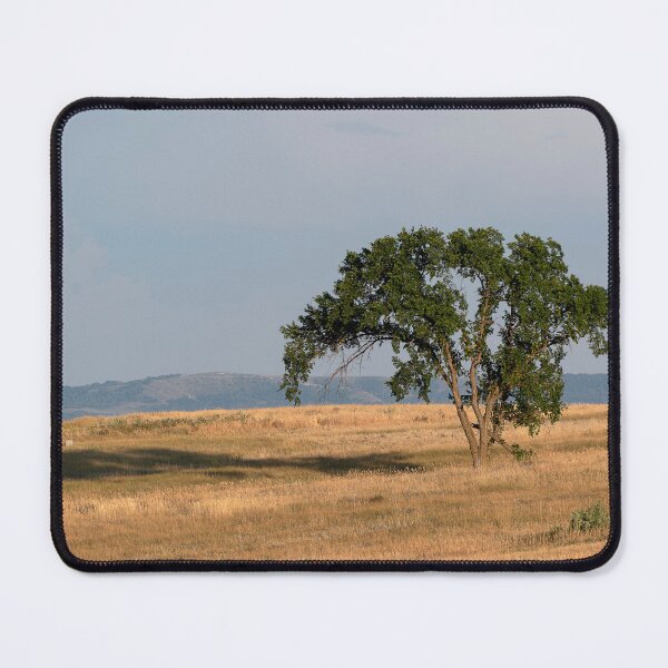 Item preview, Graceful tree on prairie in warm late-day light designed and sold by lisavonbiela.