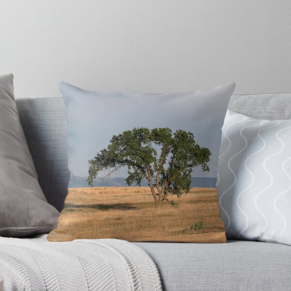 Item preview, Graceful tree on prairie in warm late-day light designed and sold by lisavonbiela.